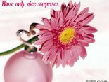 Have only nice surprises