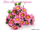 Have only nice surprises