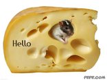 Hello