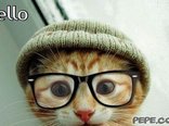 Hello