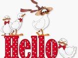 Hello