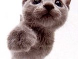 ¡Hey!