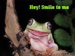 Hey! Smile to me
