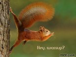 Hey, wassup?
