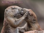 Hot kisses for you