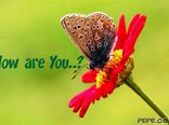 How are You..?