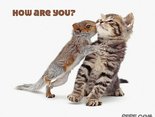 How are you?