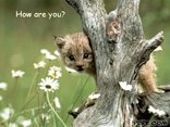 How are you?