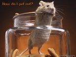 How do I get out?na chwil