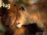 Hug