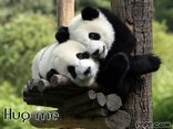 Hug me