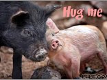 Hug me