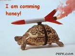 I am comming honey!