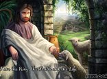 I am the Way, the Truth and the Life