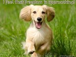 I feel that freedom is approaching!