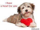 I have a heart for you