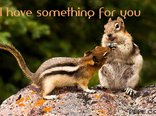 I have something for you