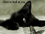 I love to look at you