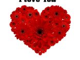 I love You