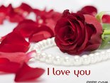 I love you