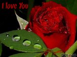 I love You