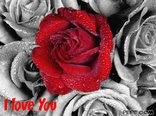 I love You