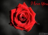 I love You