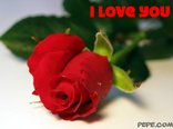 I love You