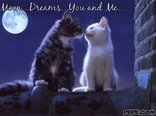 I love you babe...