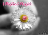 I Migliori Augiri