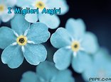 I Migliori Augiri