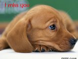 I miss you