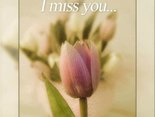 I miss you