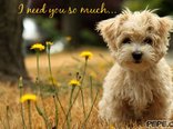 I need you so much...