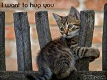 I want to hug you