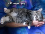I will protect you