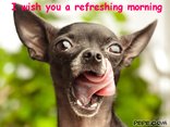 I wish you a refreshing morning