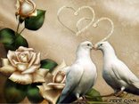 I wish you all the best