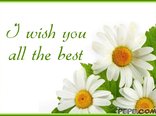 I wish you all the best
