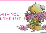 I wish you all the best