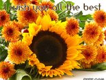 I wish you all the best