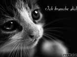 Ich brauche dich