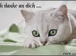 Ich danke an dich