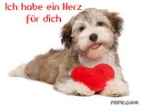 Ich habe ein Herz für dich