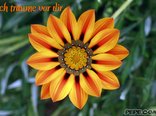 Ich träume vor dir