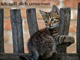 Ich will dich umarmen