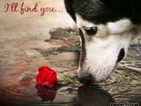 I'll find you...