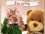 I'm sorry