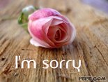 I'm sorry