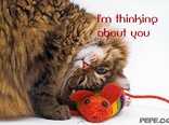 I'm thinking about you